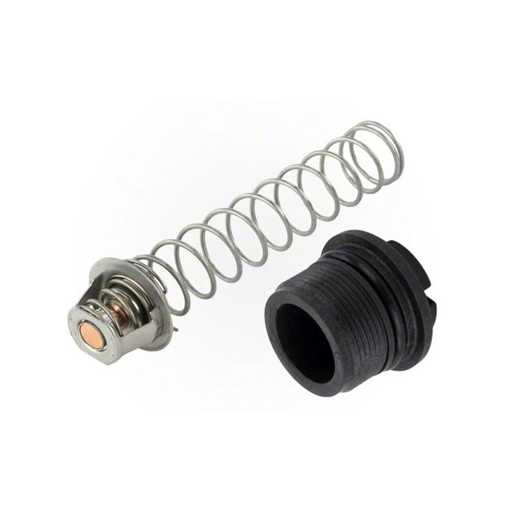 Pentair 0010 Thermal Regulator Replacement Part Kit Pool And Spa Heater Walmart Com Walmart Com