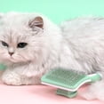 thumbnail image 5 of Self cleaning pet brushes for grooming long haired and short haired dogs and cats, 5 of 5
