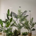 thumbnail image 6 of Growth Lamp,Potted Plant Fill Plant Floor Lamp On/off 3/9/12h 10 Auto On/off 3/9/12h Lamp Floor Model Indoor Adjustable With Led Indoor Adjustable Fill 3/9/12 10 3/9/12h 10 Dimmable With Auto On/off, 6 of 7