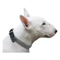 thumbnail image 2 of Collar Para Perro Con Cadena Triple De Metal Y Correas Ancha, 2 of 2