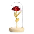 thumbnail image 1 of Advancent Rosa artificial Flor falsa Luz LED Decoración para el hogar en cúpula de vidrio para cumpleaños, Día de Acción de Gracias, Día de San Almacenamiento y organización del hogar Advancent HA022749-00, 1 of 6