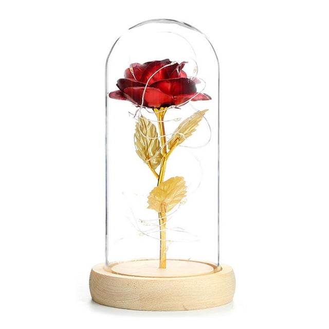 Advancent Rosa artificial Flor falsa Luz LED Decoración para el hogar en cúpula de vidrio para cumpleaños, Día de Acción de Gracias, Día de San Almacenamiento y organización del hogar Advancent HA022749-00