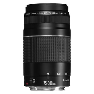 Canon, Telephoto Zoom Lens, 55-250mm, Image Stabilization