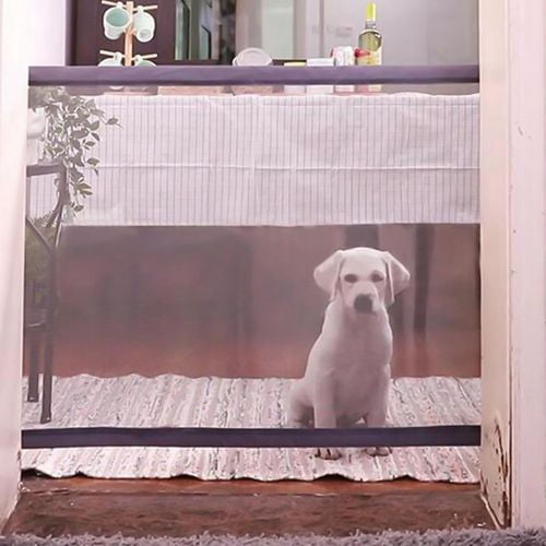 dog safety gates pets at home