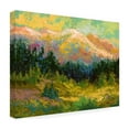 thumbnail image 3 of Trademark Fine Art Marion Rose Summer High Country Canvas Wall Art - 24x32, 3 of 5