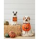 thumbnail image 2 of Cuenco de dulces de calabaza para cachorros, decoración navideña, balcón, puerta, almacenamiento, regalo, artesanías de resina, 2 of 6