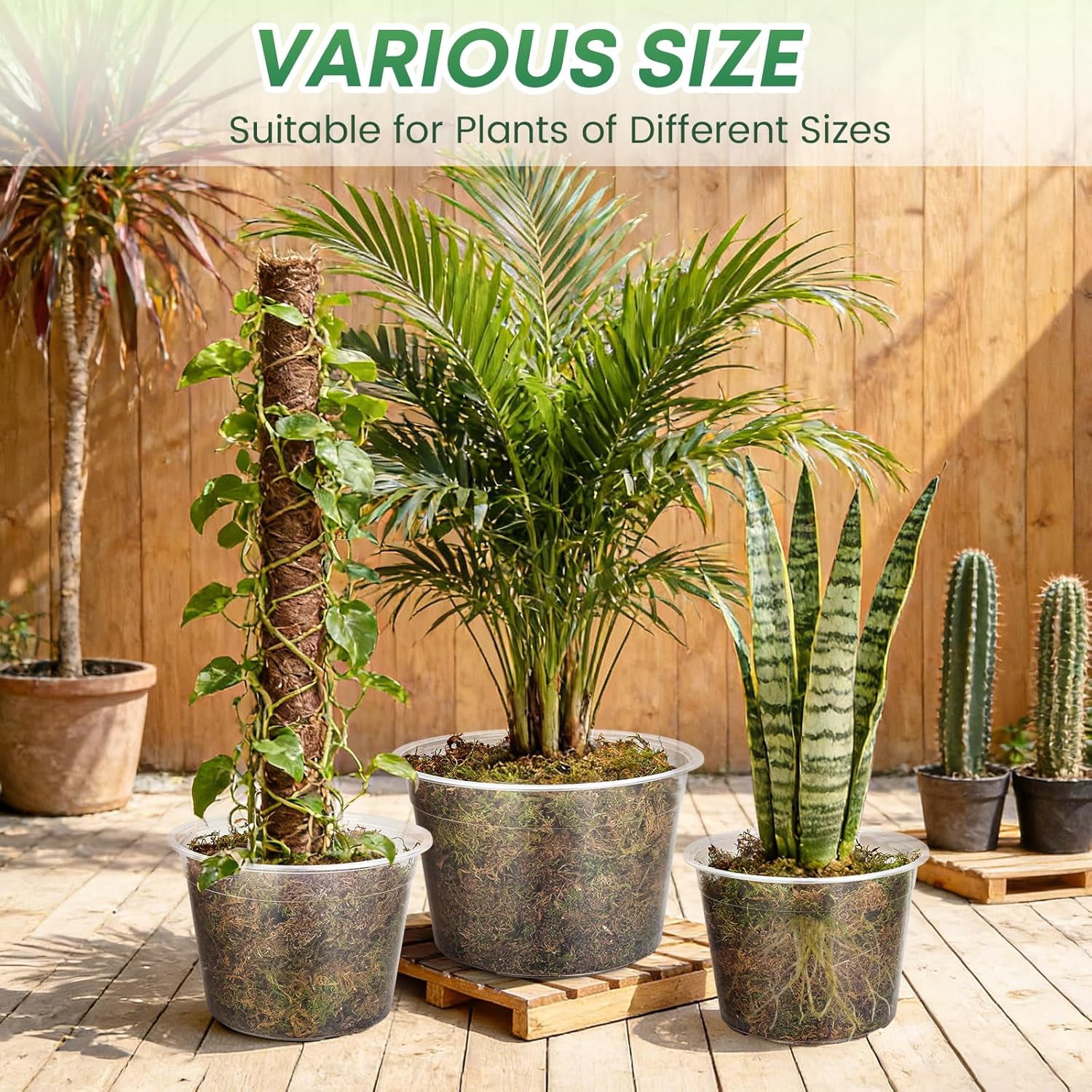Inch Large Clear Nursery Pots with Drainage Hole, Plastic Plant Pots for Seedling Flower Vegetable, Indoor Outdoor Gardening, Used as Liner Inside Decorative Pot