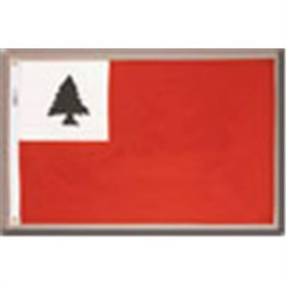 Annin Flagmakers 314892 2 ft. X 3 ft. Nyl-Glo Continental Flag