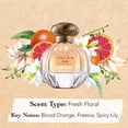 thumbnail image 5 of Set de Perfume Tocca Stella Eau de Parfum para Mujer 20 ml + 50 ml, 5 of 5