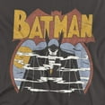 thumbnail image 2 of DC Comics T-Shirt Foggy Unisex Graphic Tee For Men & Women Charcoal, 2 of 7