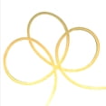 thumbnail image 2 of Northlight LED Commercial Grade Flexible Christmas Rope Lights - Warm White - 18' Yellow Wire, 2 of 5
