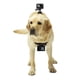 thumbnail image 5 of Soporte de arnés ajustable premium para perros para cámaras deportivas - chaleco suave y seguro, 5 of 10