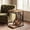 Oak & Black, variant on Tribesigns 2-Tier Narrow End Table, C Shaped Side Table Bedside Table with Metal Frame & Open Shelf for Living Room (2, Light Brown & Gold)