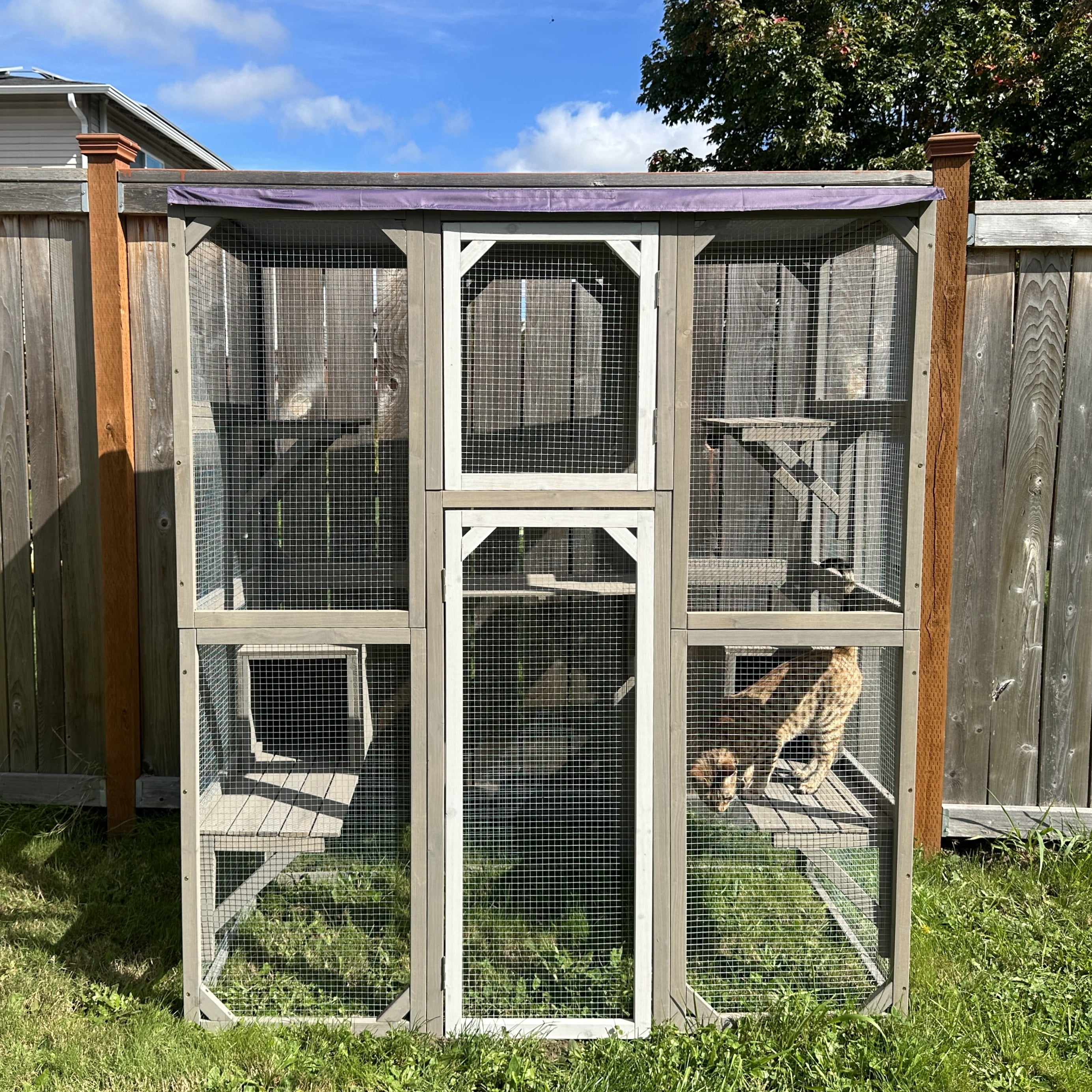 PETSCOSSET Large Outdoor Catio Cat Enclosure, 68" Walk-in Wooden Cat House with 2 Condos, 5 Platforms & Weatherproof Roof Cover, Window Connection, Grey