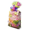 Organic Fruit Leather Buttons Peel Away Variety Pack Gift Set 3 Flavors (Mango, StrawberryMango