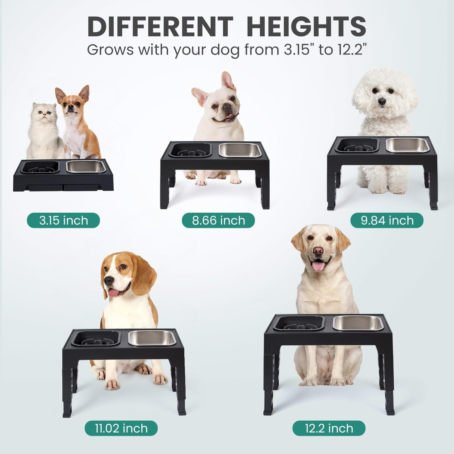Elevated Dog Bowls, 5 Adjustable Heights Raised Dog Bowl Stand, with 2 Stainless Steel Dog Food Bowls and 1 Slow Feeder Dog Bowl