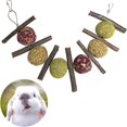 thumbnail image 1 of Barley Ears Natural Ball and Stick Chew Toys para conejo, hámster, loro, chinchilla, conejillo de indias y jerbo con hierba y rosa TUNC Sencillez, 1 of 5
