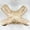 Sand, variant on Anti-Wrinkle Beauty Face Pillow with Back Sleep Support Free Pillow Case Included for Comfortable And Better Sleep