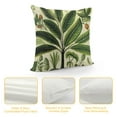 thumbnail image 4 of Chilfamy  Tropical Palm Tree Throw Pillow Covers Vintage Green Leaf Decorative Pillow Cases Cushion Covers for Sofa Couch Indoors&amp;Outdoors Decor, 4 of 5