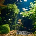 thumbnail image 2 of MasteelfCA Decorative Aquarium Cave Delicate Shrimp Habitat Ceramic Breeding Cave Aquarium Accessory, 2 of 7