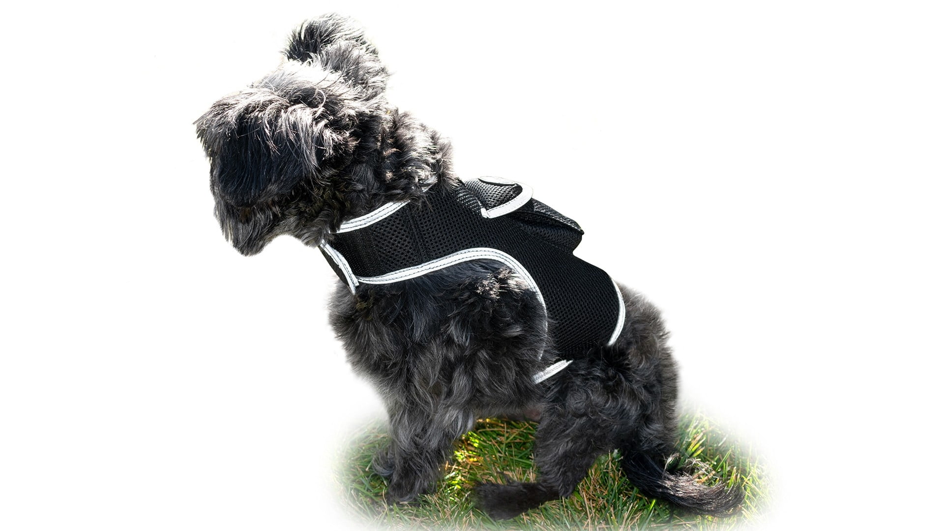 Portable Collar Mount Waterproof GSM GPRS GPS Phone Pet Tracker w/ App Size:S