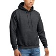 thumbnail image 1 of Sudadera con capucha Hanes EcoSmart para hombre Charcoal Heather 4XL, 1 of 6