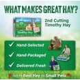 thumbnail image 5 of Heno de Timothy 2do Corte Small Pet Select para Conejos y cuyos 4.5 kg, 5 of 5