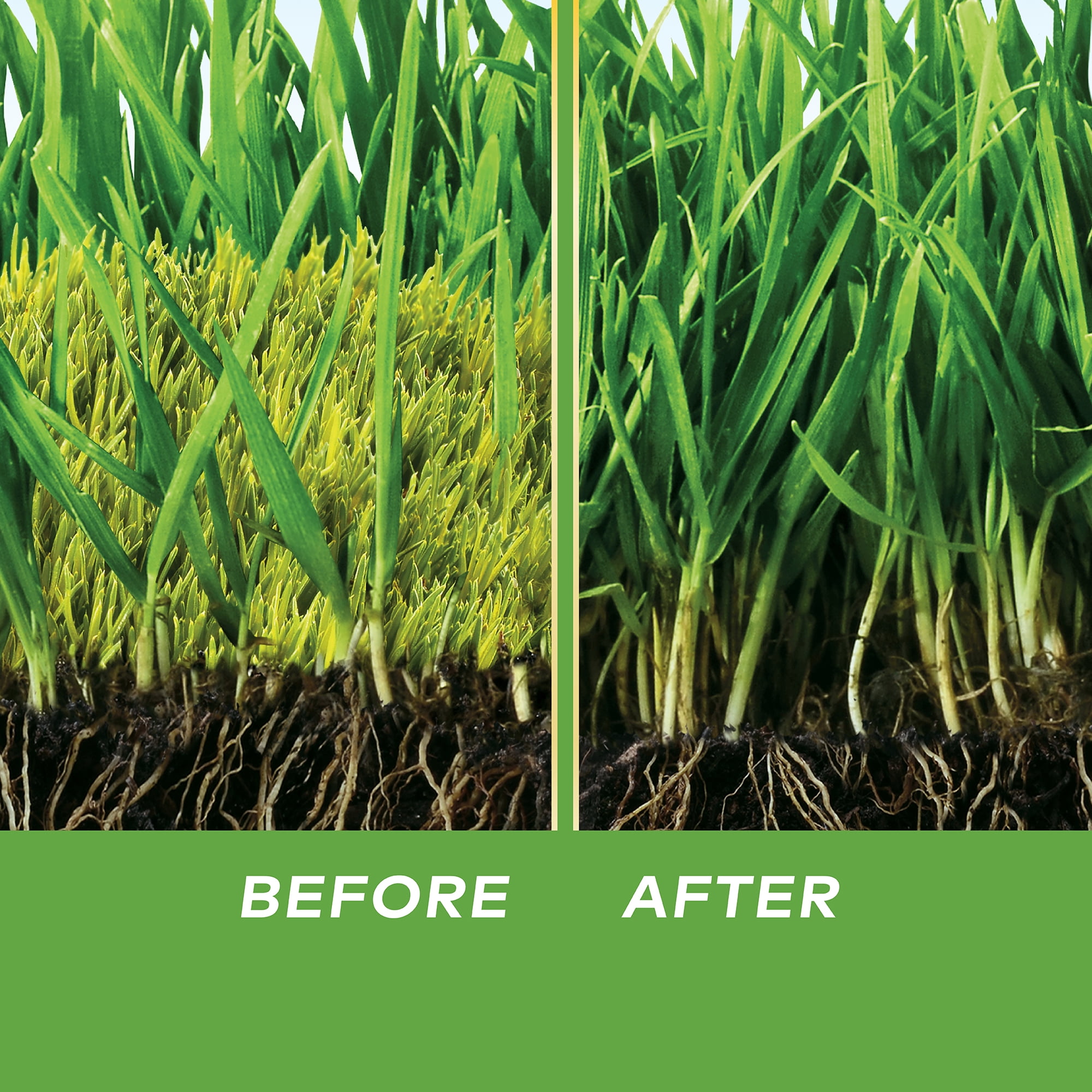 Scotts MossEx Lawn Care Control, Spring Moss Killer with
