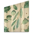thumbnail image 2 of Designart 'Young Eucalyptus Branches and Leaves III' Traditional Print on Natural Pine Wood, 2 of 5