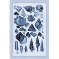 thumbnail image 2 of Sowerby, G.B. 13x18 White Modern Wood Framed Museum Art Print Titled - Shells: Trachelipoda #3 (Blue), 2 of 4