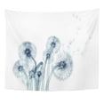 thumbnail image 2 of UFAEZU Blue X Ray Flower White The Taraxacum Dandelion Wall Art Hanging Tapestry Home Decor for Living Room Bedroom Dorm 60x80 inch, 2 of 2