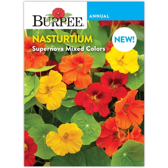 Burpee Supernova Mixed Colors Nasturtium Flower Seed