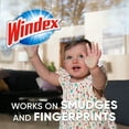 thumbnail image 6 of Windex Glass Cleaner Concentrate, Two 2.9 Ounce Concentrated Refill Bottles, 6 of 12