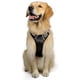 thumbnail image 2 of Rabbitgoo Arnés para Perros, Arnés para Mascotas sin Tirones con 2 Clips para Correa, Chaleco para Perros Acolchado Suave y Ajustable, Chaleco Oxford Reflectante para Mascotas sin asfixia con asa de f, 2 of 4