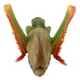 thumbnail image 4 of Design Toscano Ricochet the Grasshopper Statue, 4 of 6