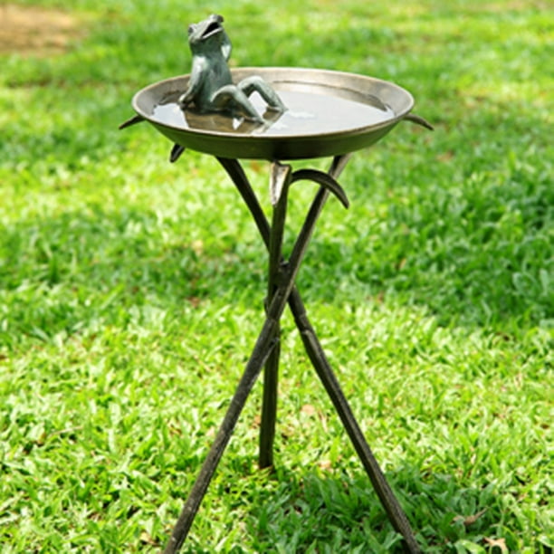 Cool Frog Bird Bath
