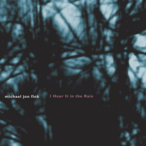 Michael Jon Fink - I Hear It in the Rain - Music & Performance - CD