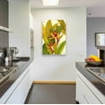 thumbnail image 3 of Epic Art 'Tropical Bird of Paradise' by Tim O'Toole, Acrylic Glass Wall Art, 24"x36", 3 of 3