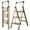 Champagne Gold Finish, variant on Calmwrd Step Ladder Folding 3-Step Woodgrain Finish Aluminum Foldable Step Ladders,Anti-Slip for Home & Kitchen Office 330 lbs