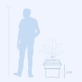 thumbnail image 3 of Bloem Veranda 14" Square Box Plastic Planter - UV-Resistant, Indoor/Outdoor, Peppercorn, 3 of 5