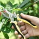 thumbnail image 4 of Tijeras de podar de acero inoxidable, tijeras de jardinería con seguro, mango ergonómico y diseño con resorte para árboles, flores y hierbas - 19 cm (opciones naranja, verde y amarillo), 4 of 6
