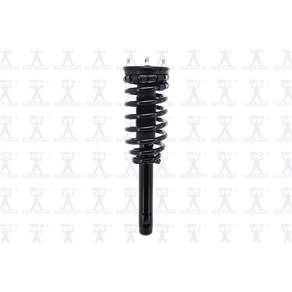 Suspension Strut and Coil Spring Assembly