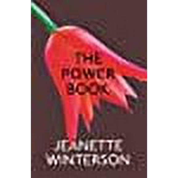 The Powerbook Jeanette Winterson (Paperback)