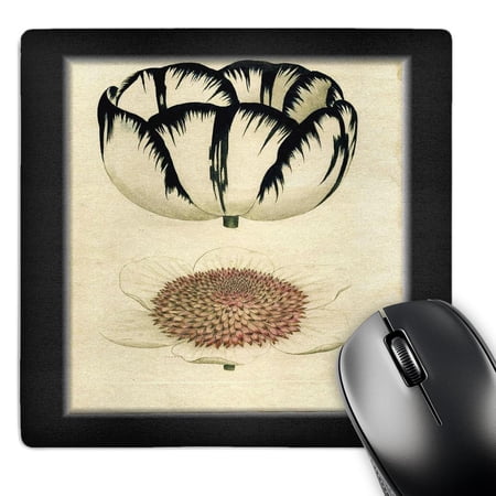 3dRose  Black n White Botanical  MousePad price history on PriceWatchPro