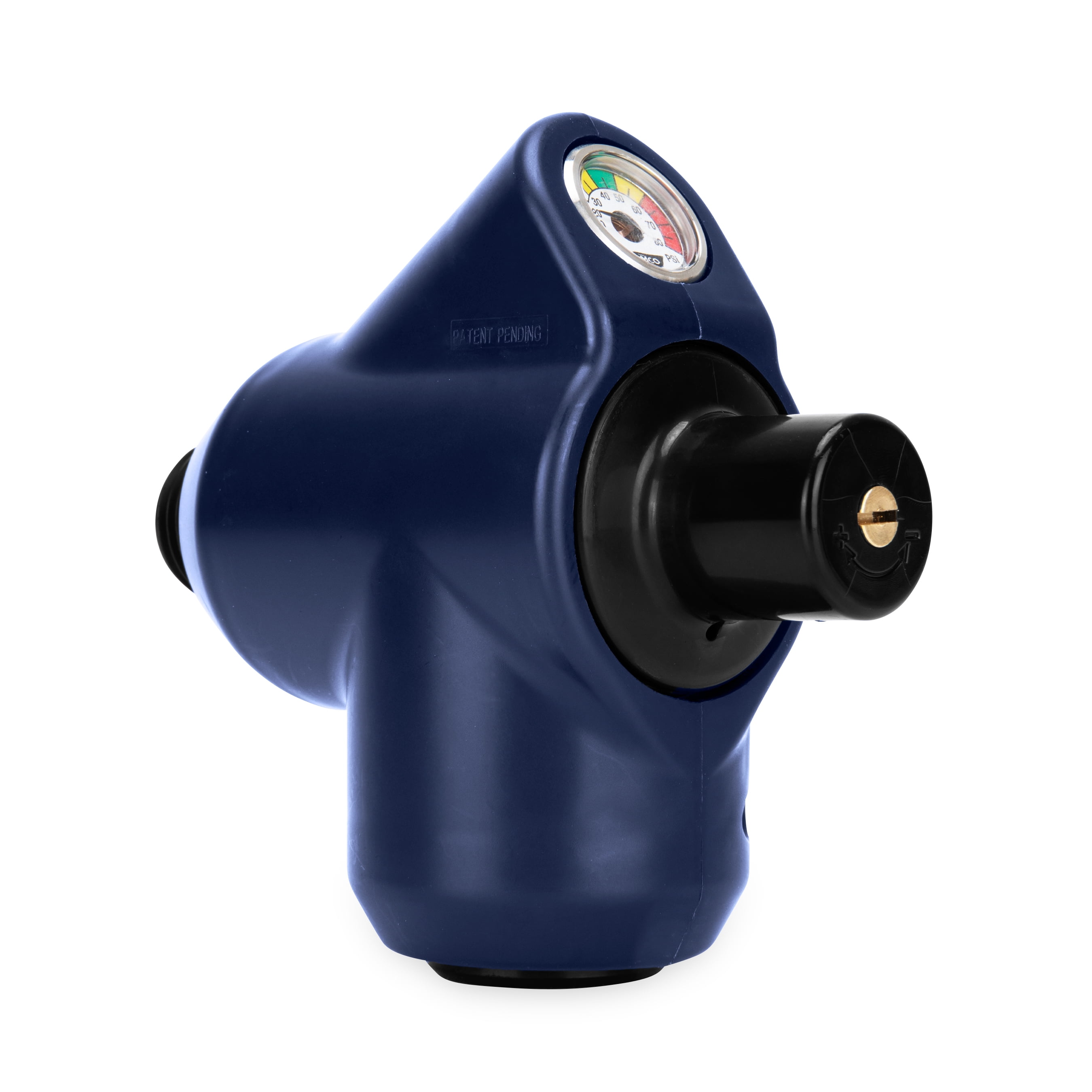 Camco Tastepure Adjustable 4-in-1 RV Water Pressure Regulator (40065)