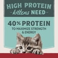 thumbnail image 4 of Ultra Protein - Chicken & Chicken Meal Recipe - Dry Kitten Food, 4 of 5