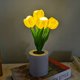 thumbnail image 2 of Regalo para novia, mamá, hija, tía, lámpara de flores, tulipanes con pilas, luz nocturna, regalo para su fiesta de cumpleaños, decoración de la sala de bodas, 2 of 5