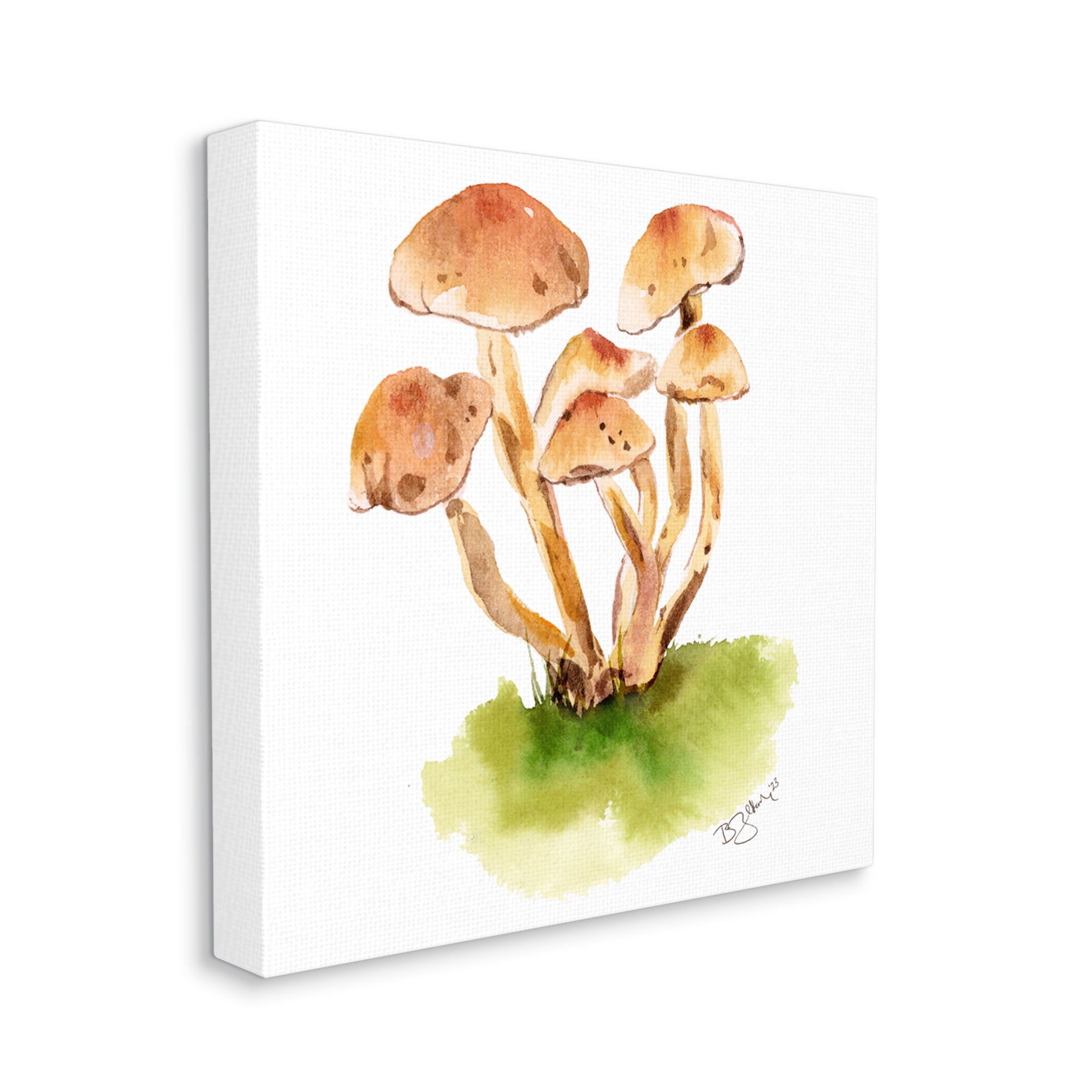 Stupell Industries Brown Mushrooms Watercolor Botanical & Floral Painting Gallery Wrapped Canvas Art Print Wall Art, 30 x 30