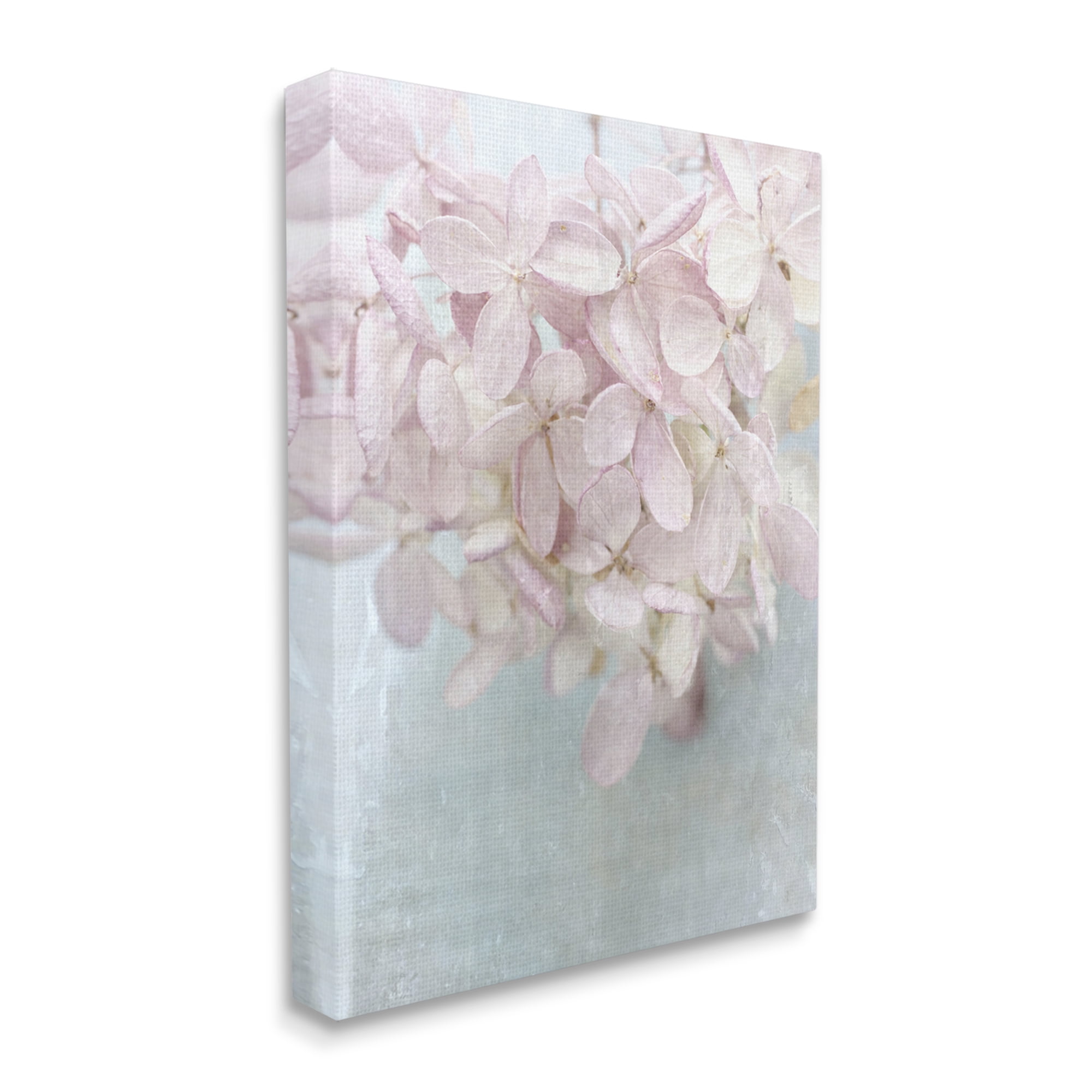 Stupell Industries Soft Pink Abstract Flower Petals Botanical & Floral Painting Gallery Wrapped Canvas Print Wall Art