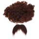 thumbnail image 1 of KAKOWELY 1 juego de peluca afro y bigote falso, accesorio para disfraz de fiesta, kit de peinado y barba artificiales, 1 of 5